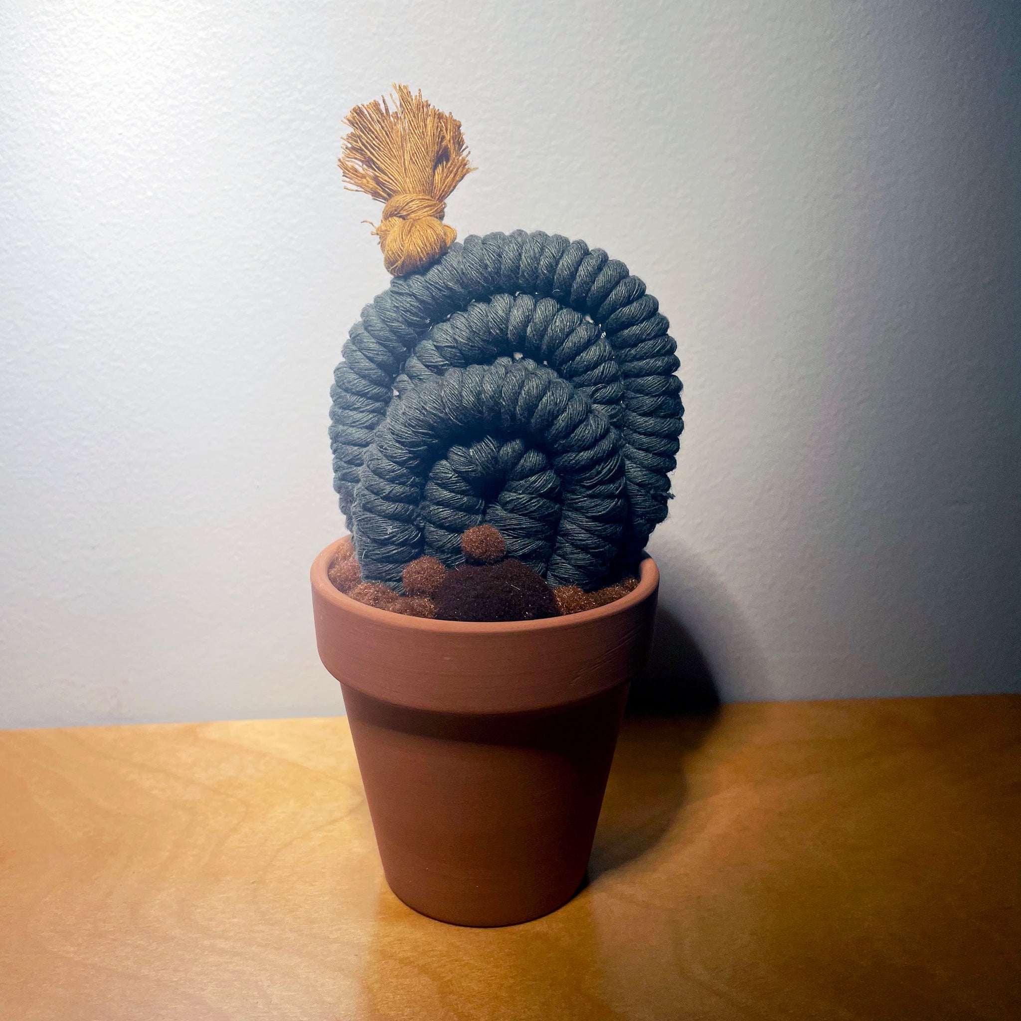 Potted Macrame Cactus 10