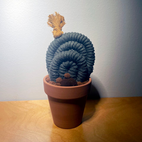 Potted Macrame Cactus 10