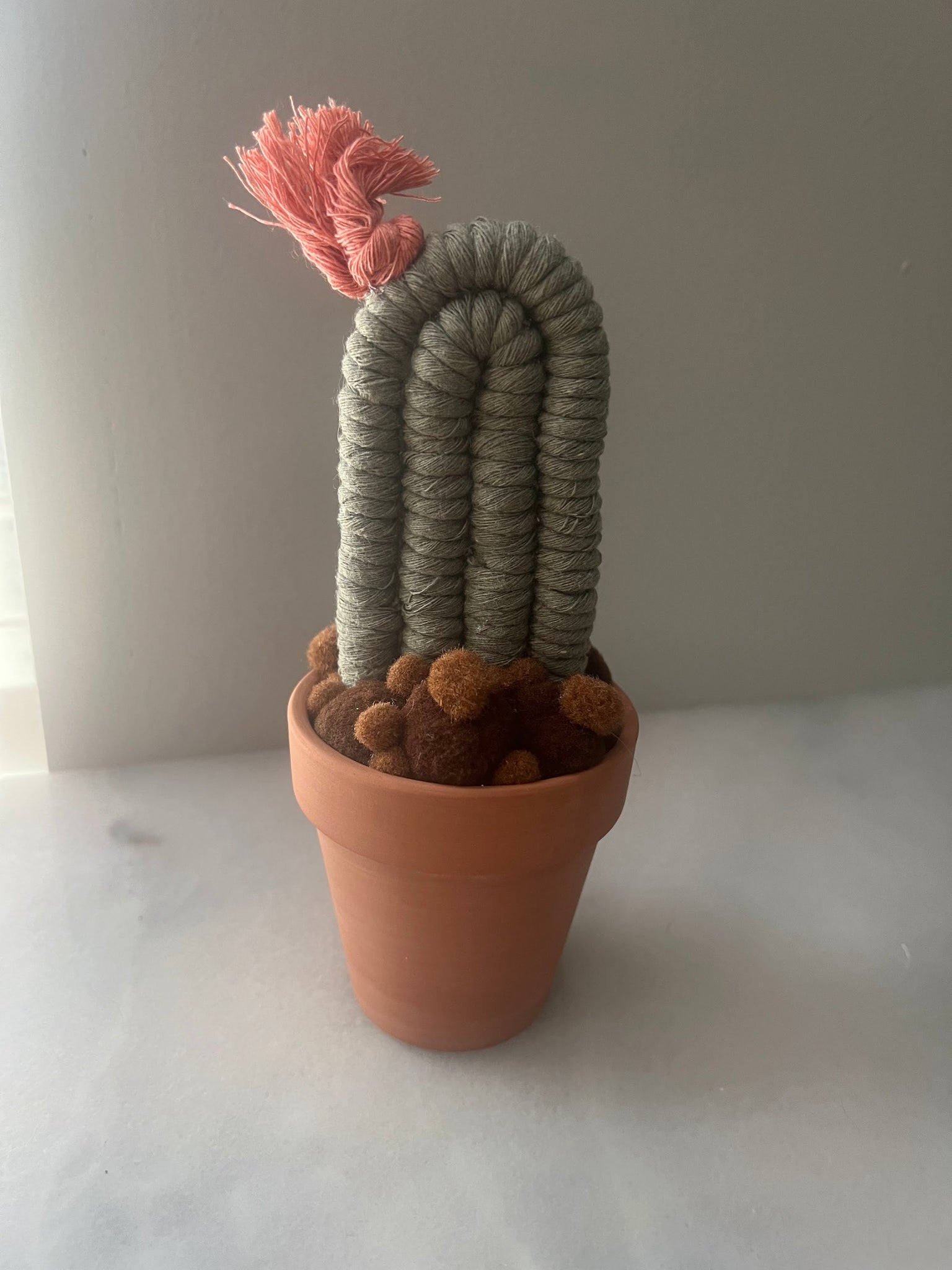 Potted Macrame Cactus 1
