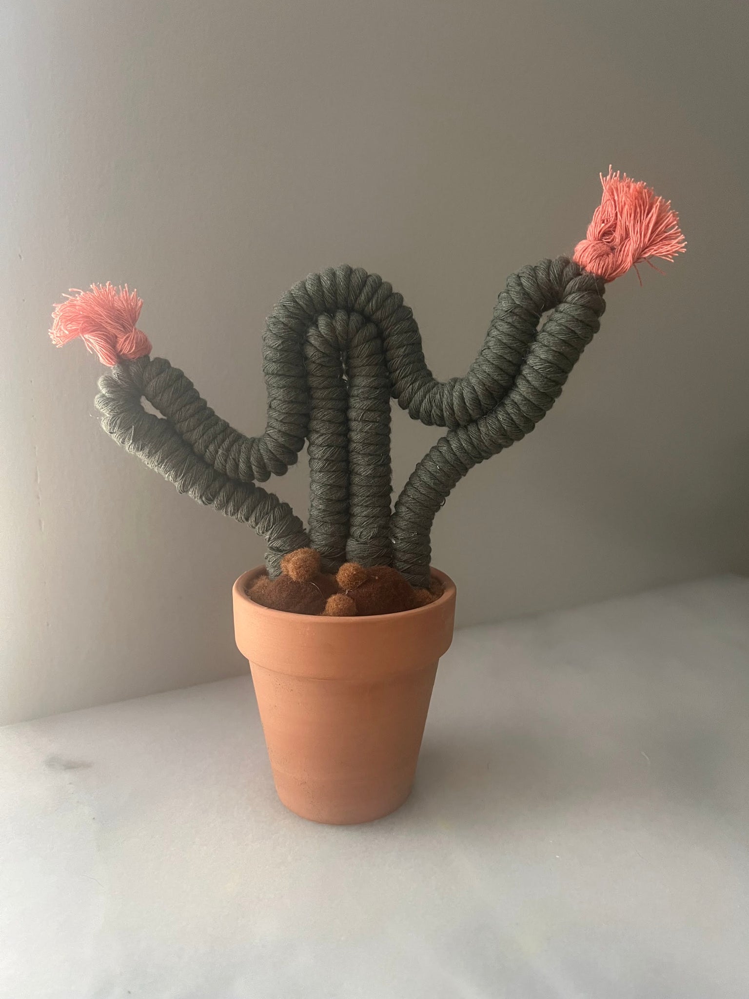 Potted Macrame Cactus 2