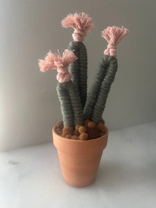Potted Macrame Cactus 3