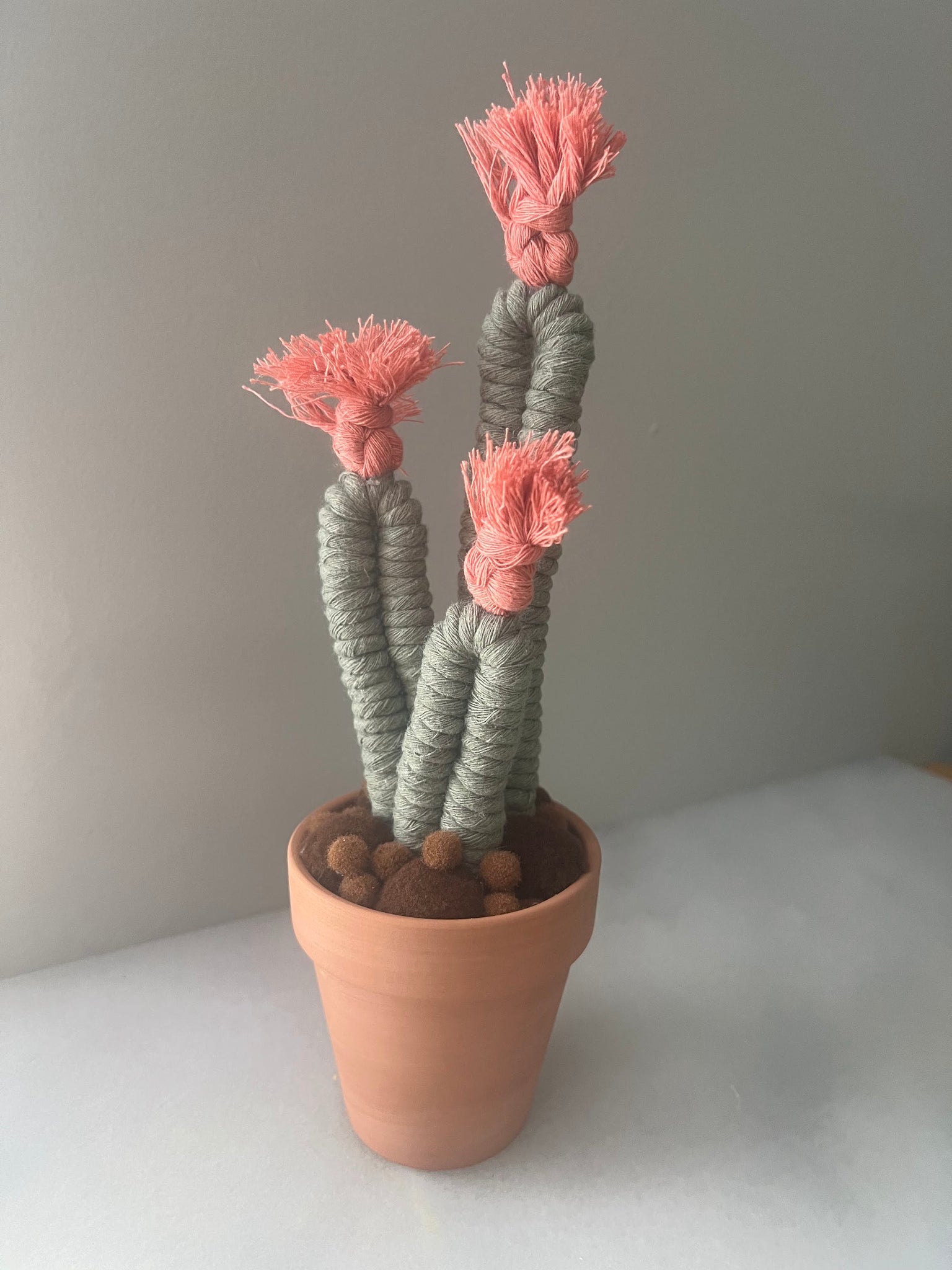 Potted Macrame Cactus 4