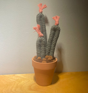 Potted Macrame Cactus 5