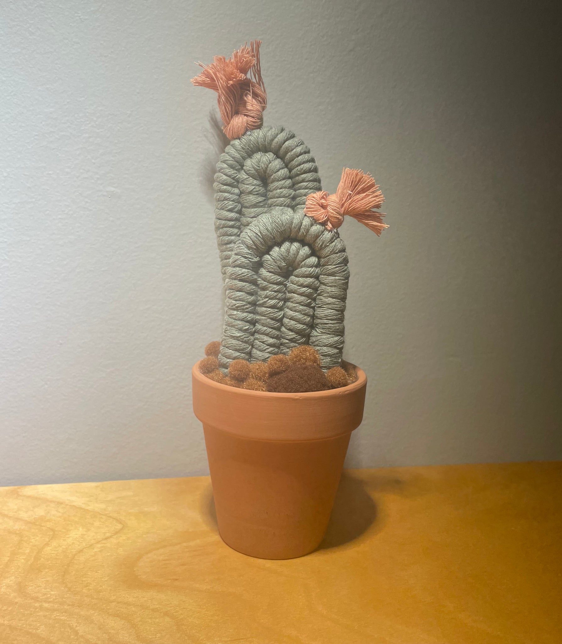 Potted Macrame Cactus 6