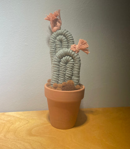 Potted Macrame Cactus 6