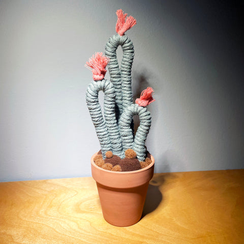 Potted Macrame Cactus 9
