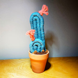 Potted Macrame Cactus 7