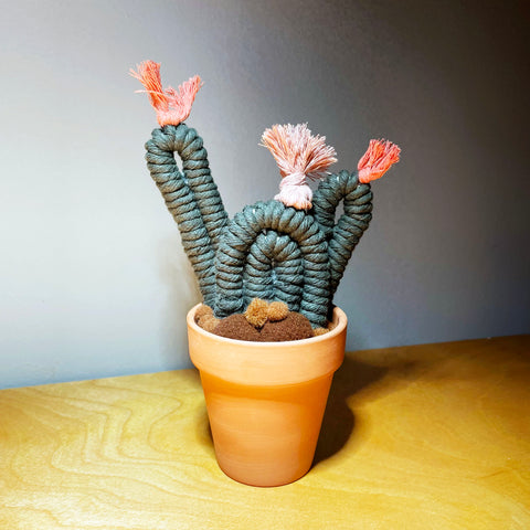 Potted Macrame Cactus 8