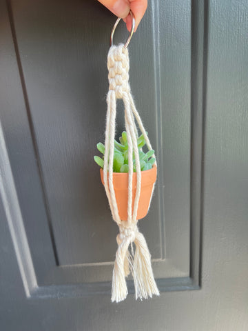 Rearview Plant Hanger Small